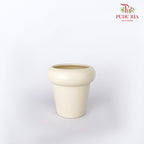 TY-8804 Pot
