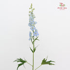 Delphinium Short Blue - (5 Stems)