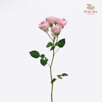 Rose Spray Princess Fairy Kiss Pink - (10-12 Stems)