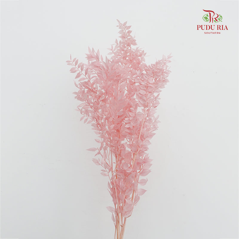 Dry Ruscus Dyed - Pink