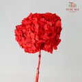 Preservative Hydrangea - Red / Per Stem - Pudu Ria Florist Southern