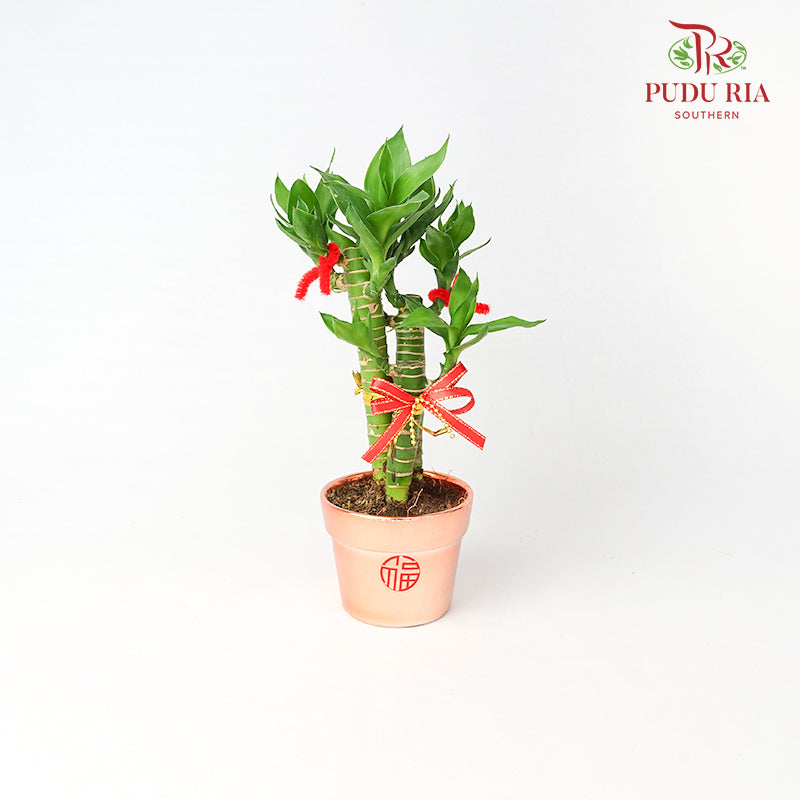 CNY Potted Plant Arrangement 2024#2