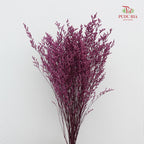 Dry Caspia - Magenta