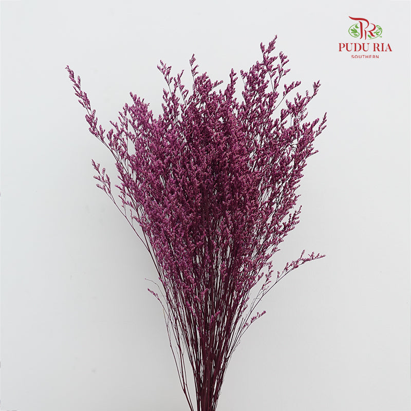 Dry Caspia - Magenta