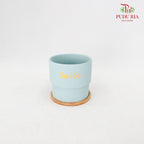 HS-0012 Asst Colours Pot