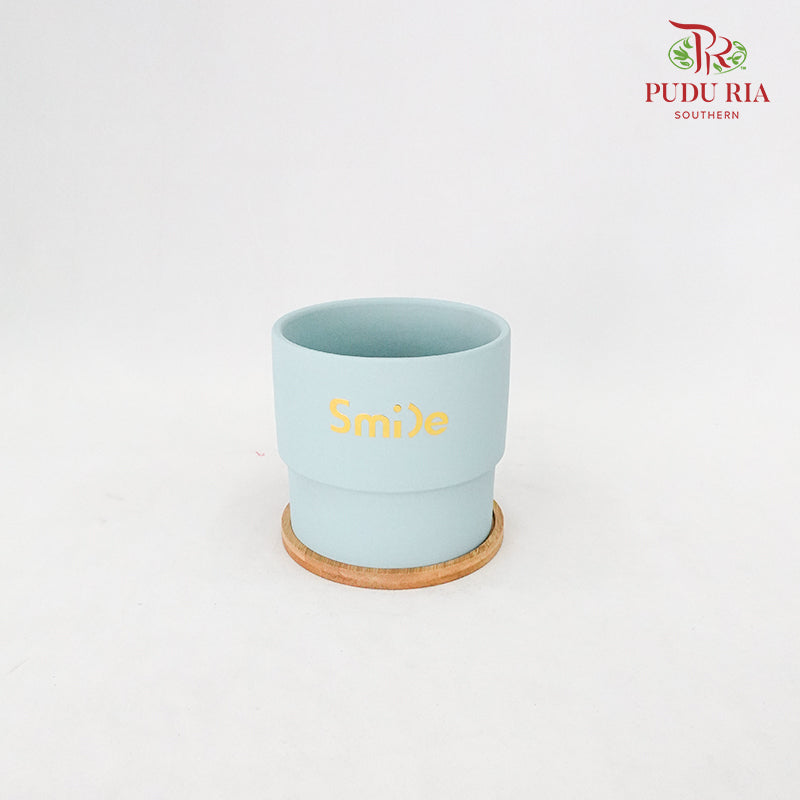 HS-0012 Asst Colours Pot