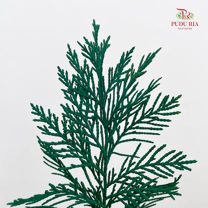 Cedar X mas Dyed Color Green - (Per Bundle)
