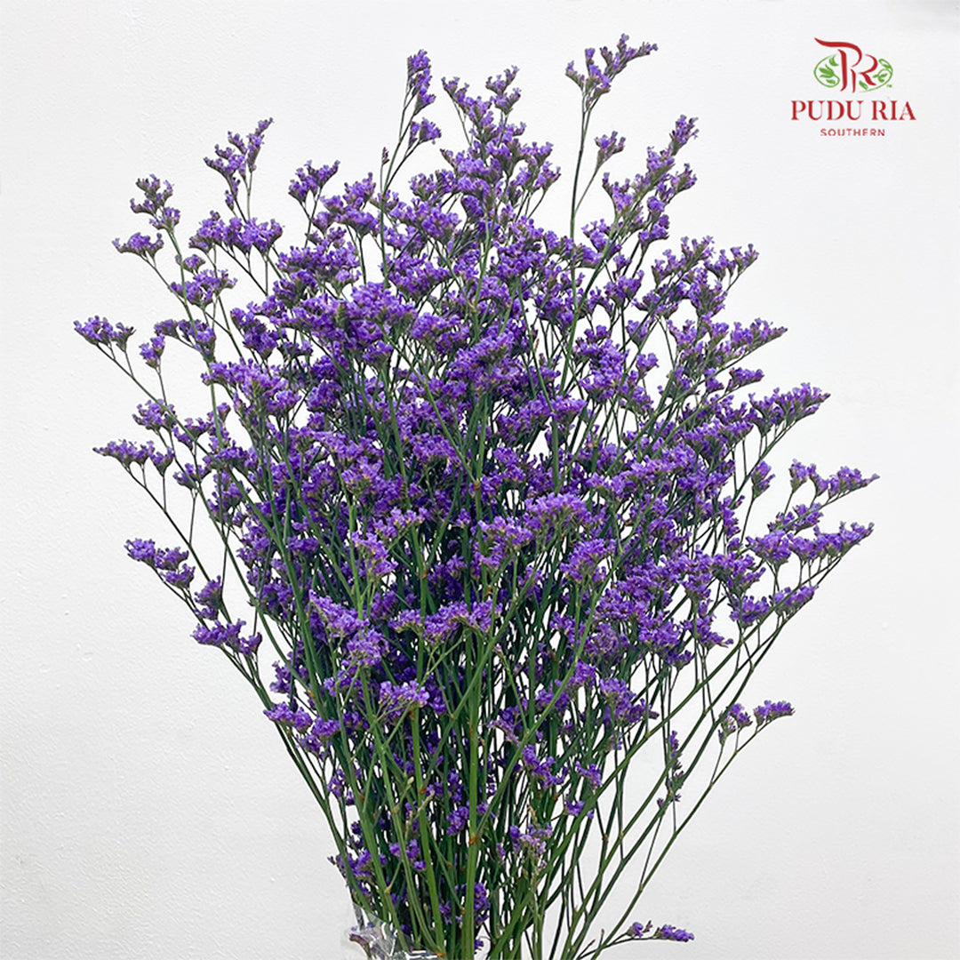 Caspia Purple 卡斯比亞 - (Per Bundle)
