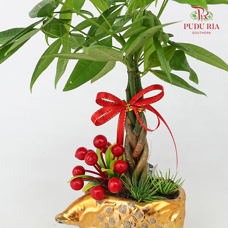 CNY Potted Plant Arrangement 2024#21