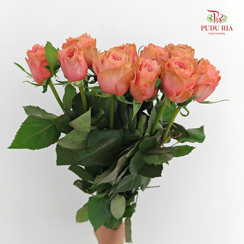 Rose Kahala - (8-10 Stems)