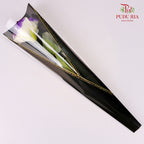 Korea Plastic Wrapping - FPL037