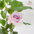 Rose Spray Ocean Song (8-10 Stems) - Pudu Ria Florist Southern
