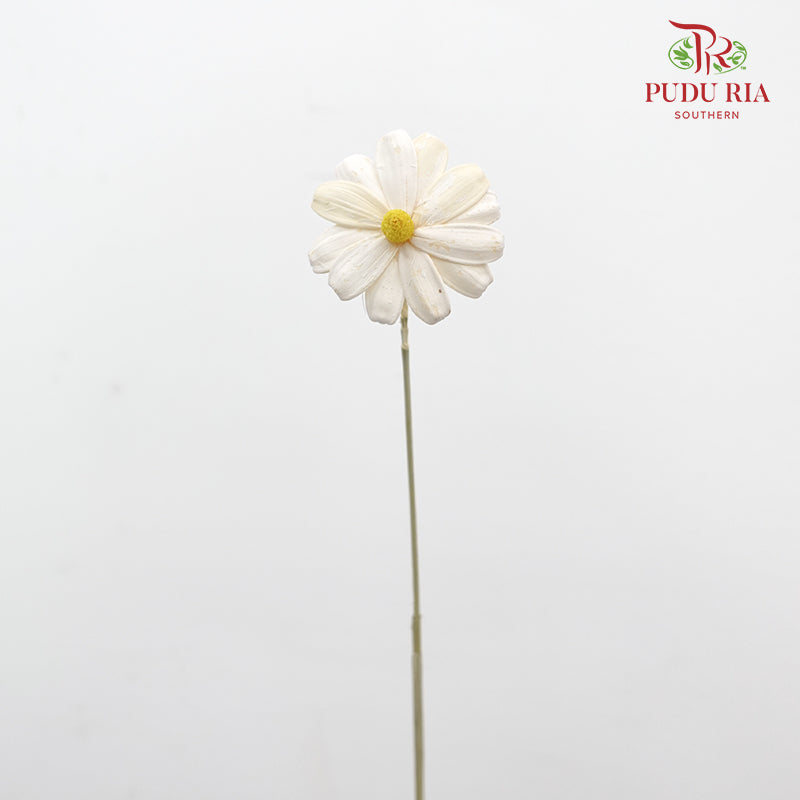 Dry Sunflower Seed Flower - White (Disk Flower Yellow)