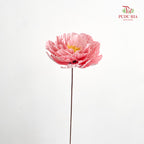 Dry Peony Handmade Pink - Per Stem