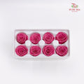 8 Bloom Preservative Rose - Flamingo Pink