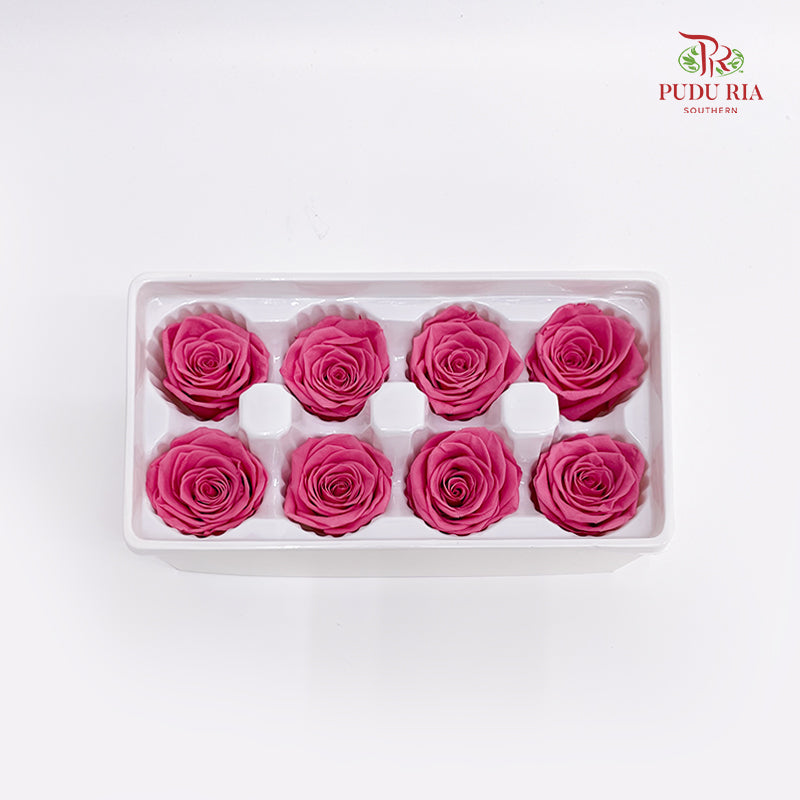 8 Bloom Preservative Rose - Flamingo Pink