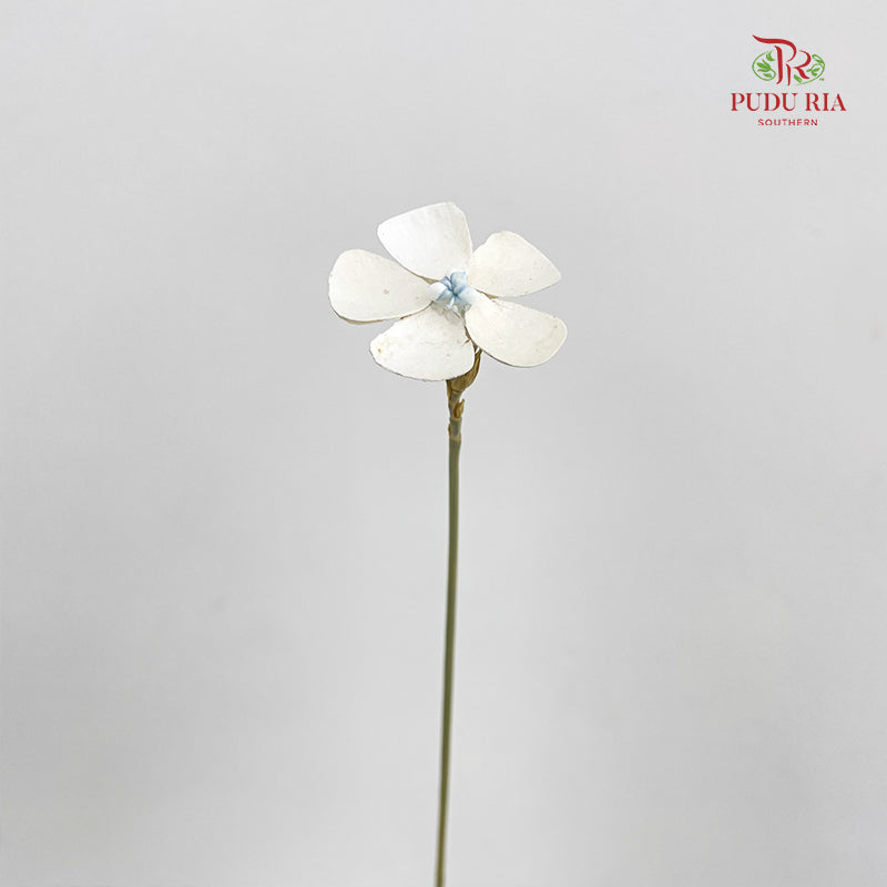 Dry Violet - White Center Blue