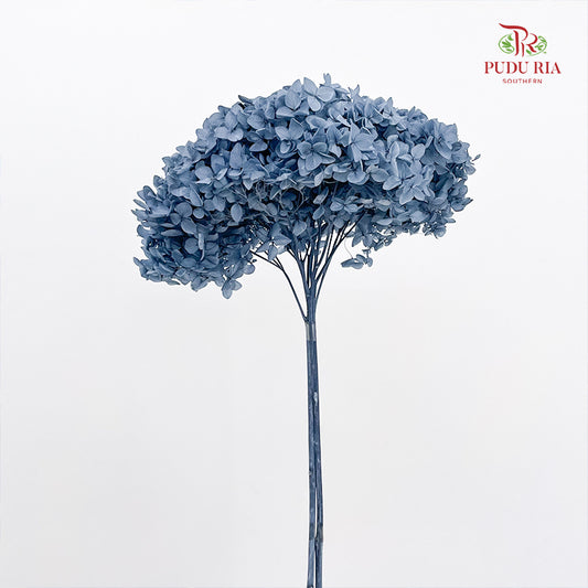 Preservative Hydrangea - Slate Blue / Per Stem