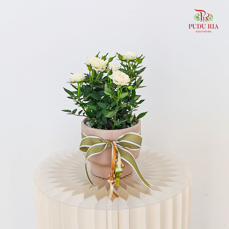 Hari Raya Arrangement - Danis Roses