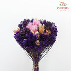 Dry Bouquet - Deep Purple - Pudu Ria Florist Southern