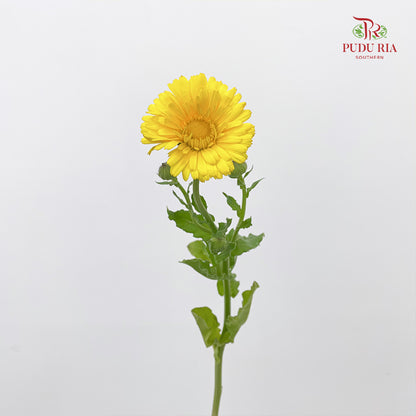 Marigold Yellow - (8-10 Stems)
