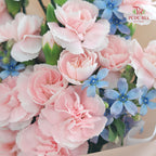 Carnation Spray Bouquet