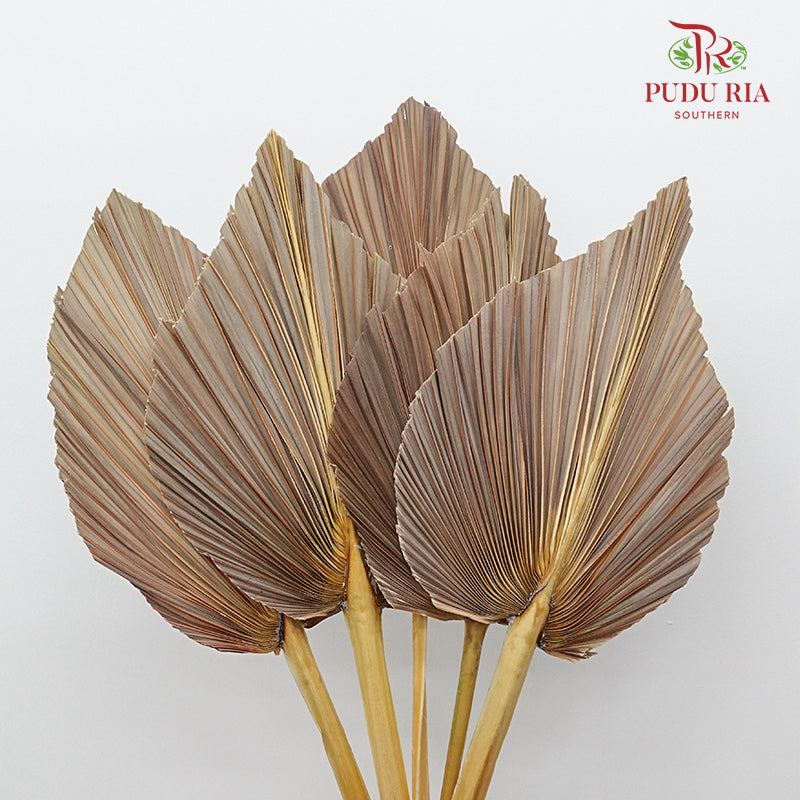 Dry Palm Dyed Brown (5 Stems) - Pudu Ria Florist Southern