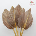 Dry Palm Dyed Brown (5 Stems) - Pudu Ria Florist Southern