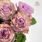 Rose Princess Kaori 玫瑰香織公主 - (10-12 Stems)