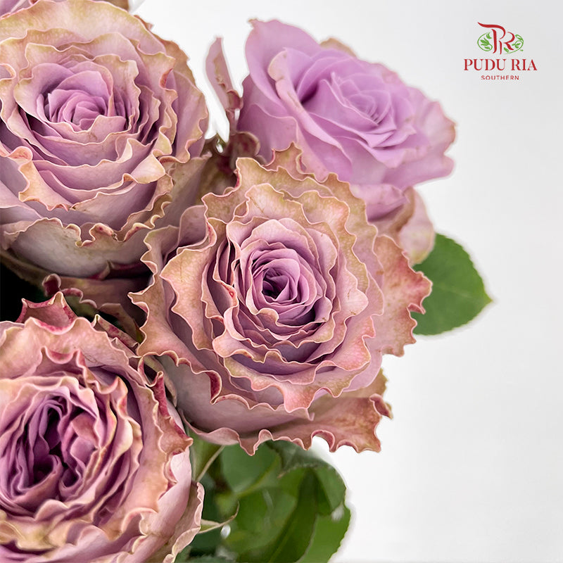 Rose Princess Kaori 玫瑰香織公主 - (10-12 Stems)