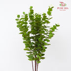 CNY Artificial Eucalyptus Spray 79cm  - Green/Gold (5 Stems)