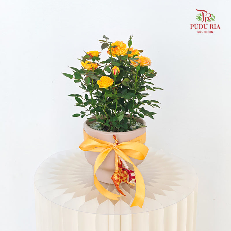 Hari Raya Arrangement - Danis Roses