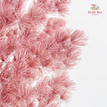 Preservative Asparagus Fern Lotus