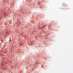 Preservative Asparagus Fern Lotus