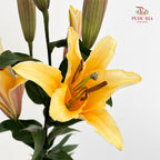 Lily Orange Sunset 百合 - (5 Stems)