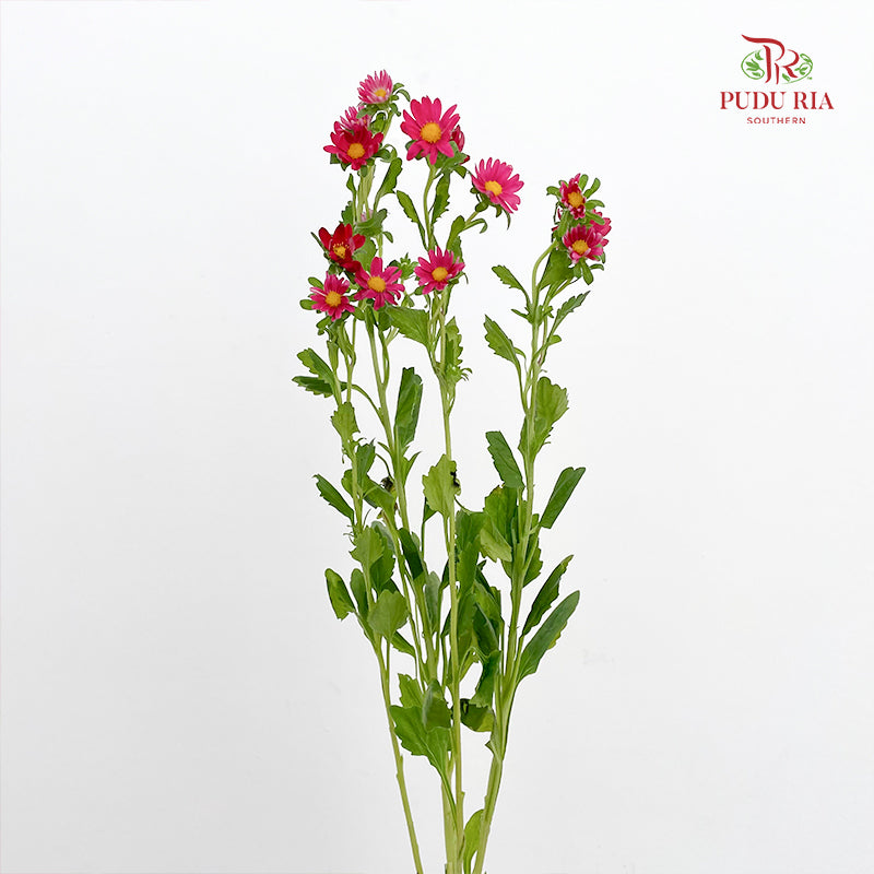 Hana Red - (Per Bundle)