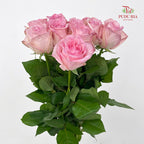 Rose Litchi Pink - (9 - 10 Stems)