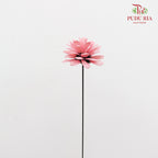 Dry Sunflower Seed Flower Pine Cone - Pink