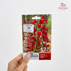 Vegetable & Fruit Seeds