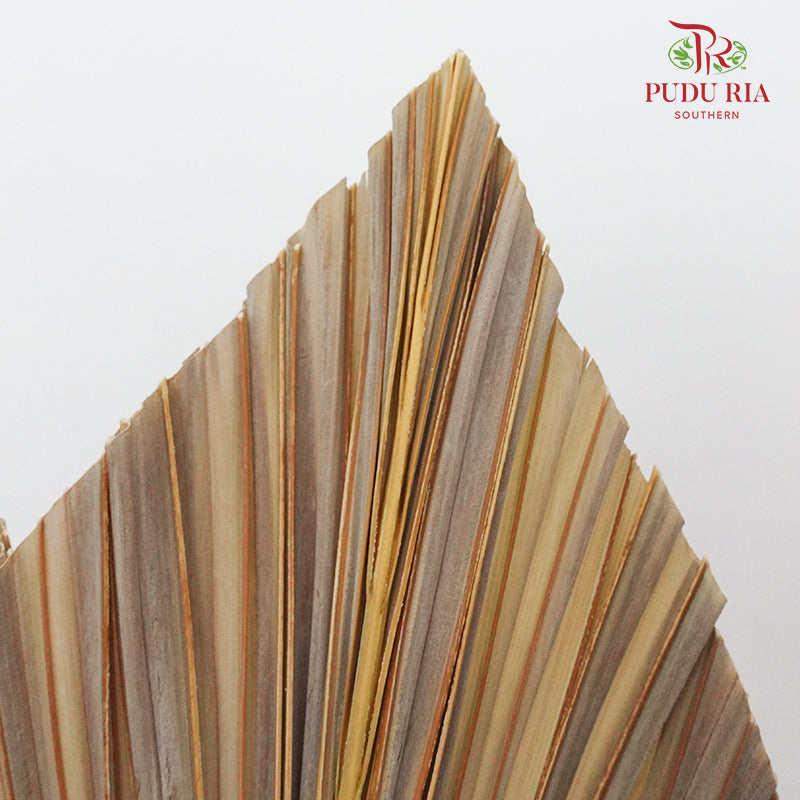 Dry Palm Dyed Brown (5 Stems) - Pudu Ria Florist Southern