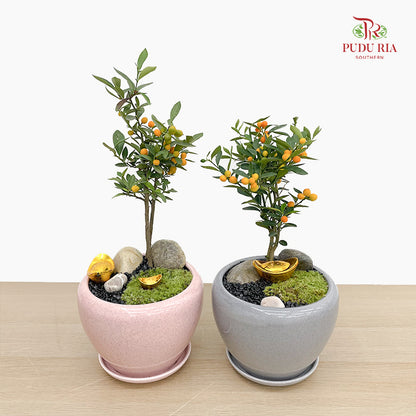 CNY Potted Plant Arrangement 2025#33