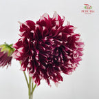 Dahlia Red - (Per Bundle)