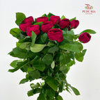 Rose Red Lace - (8-10 Stems)