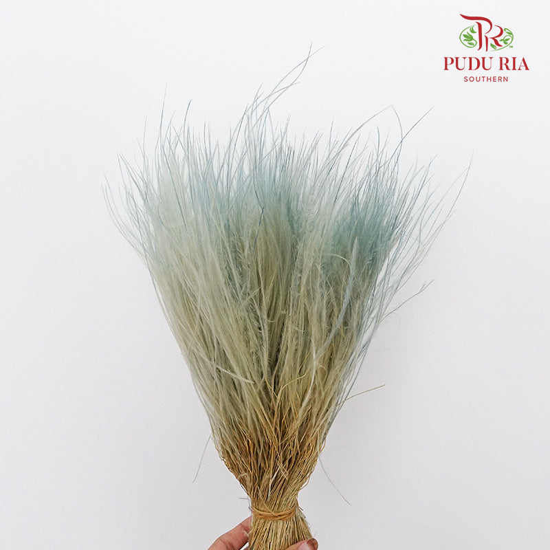 Dry Stipa Grass Blue - Pudu Ria Florist Southern