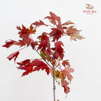 Maple Leaf/Fruit - (Per Bundle)