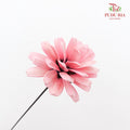 Dry Sunflower Seed Flower Pine Cone - Pink