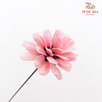 Dry Sunflower Seed Flower Pine Cone - Pink
