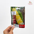 Vegetable & Fruit Seeds