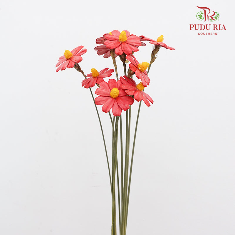 Dry Sunflower Seed Flower - Red (Disk Flower Yellow)