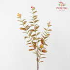 CNY Artificial Eucalyptus Spray 79cm  - Green/Gold (5 Stems)